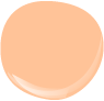 Orange Frappe.webp (103-4)